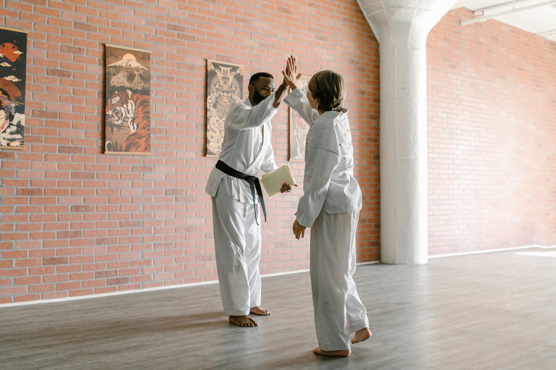 jiu jitsu JJB sans club comment s'entraîner chez soi